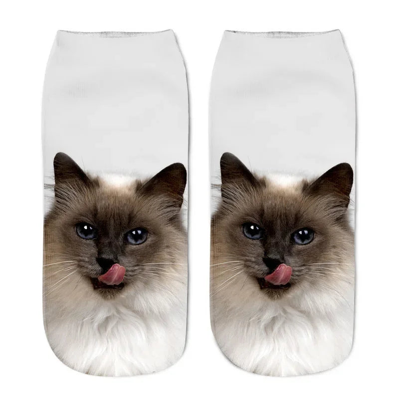 FUNNY CAT SOCKS