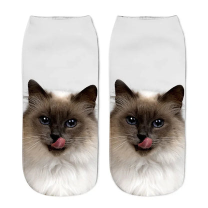 FUNNY CAT SOCKS