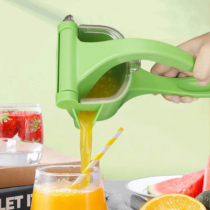 FRUIT HAND PRESS